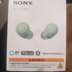 Sony Headphones 