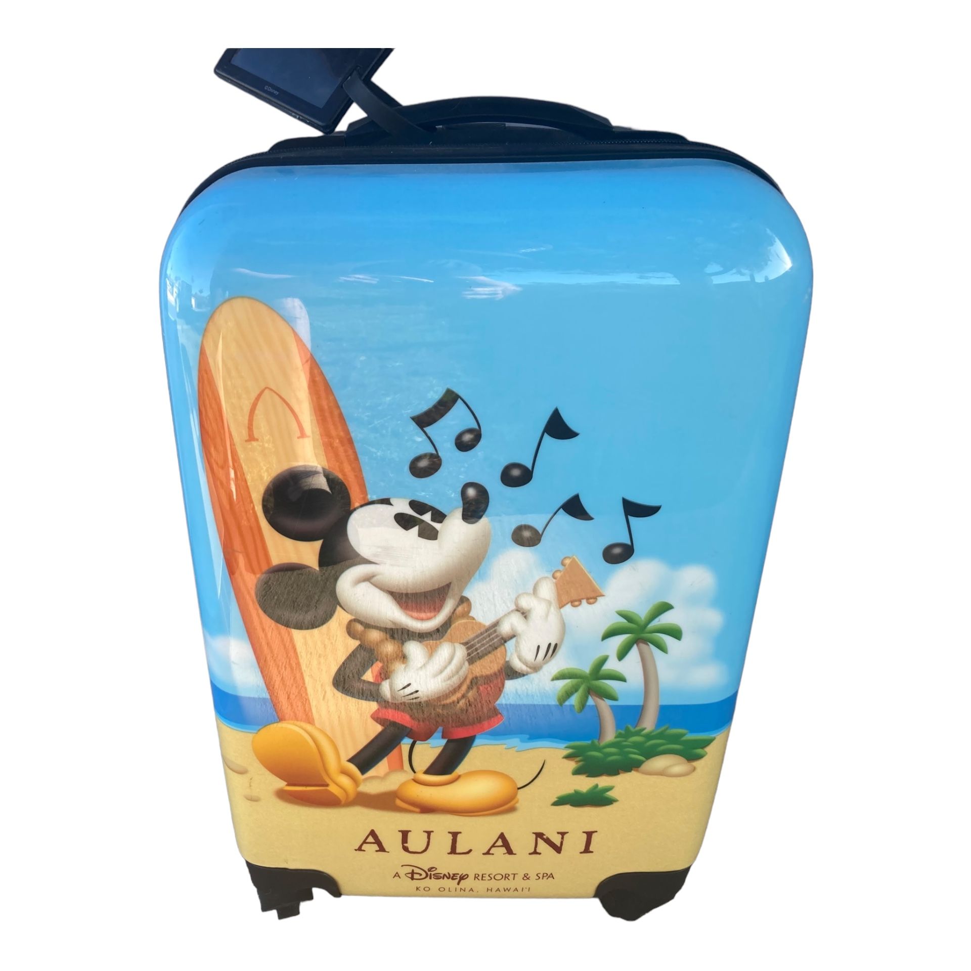 Disney Luggage