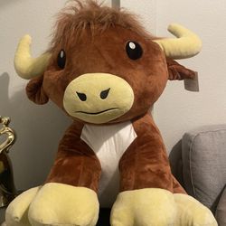 stuffed Animal From Fair 