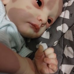 Reborn Baby 