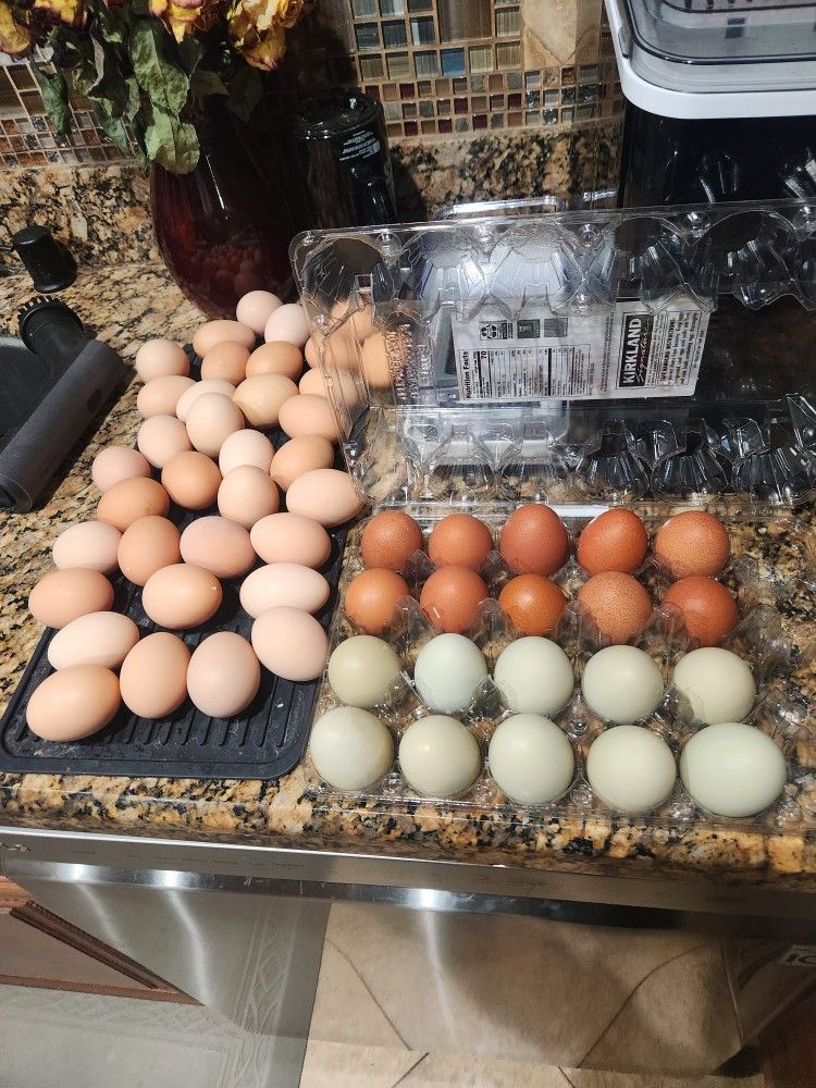Eggs $1