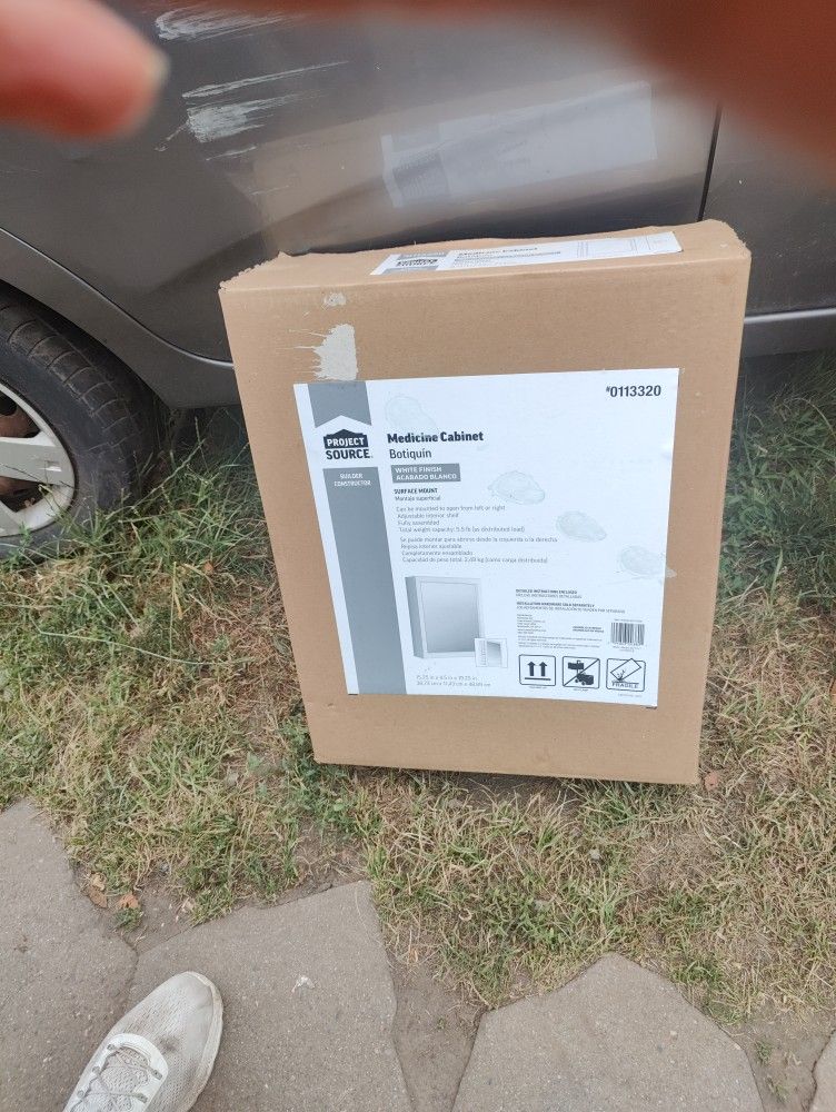 Project Source Medicine Cabinet Surface Mount