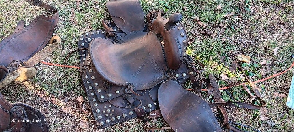 Saddle
