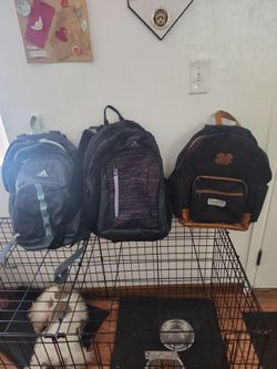 School back packs