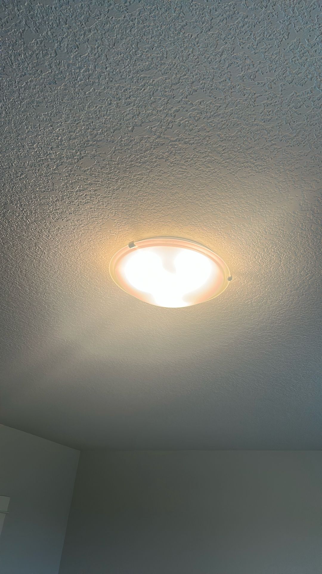Dome Ceiling Light 15”