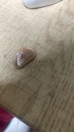 Conch pearl