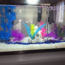 5gallon Fish Tank And Decor 