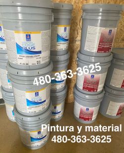 Pintura paint