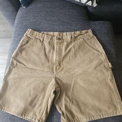Vtg Carhartt B25 BRN Work Shorts 