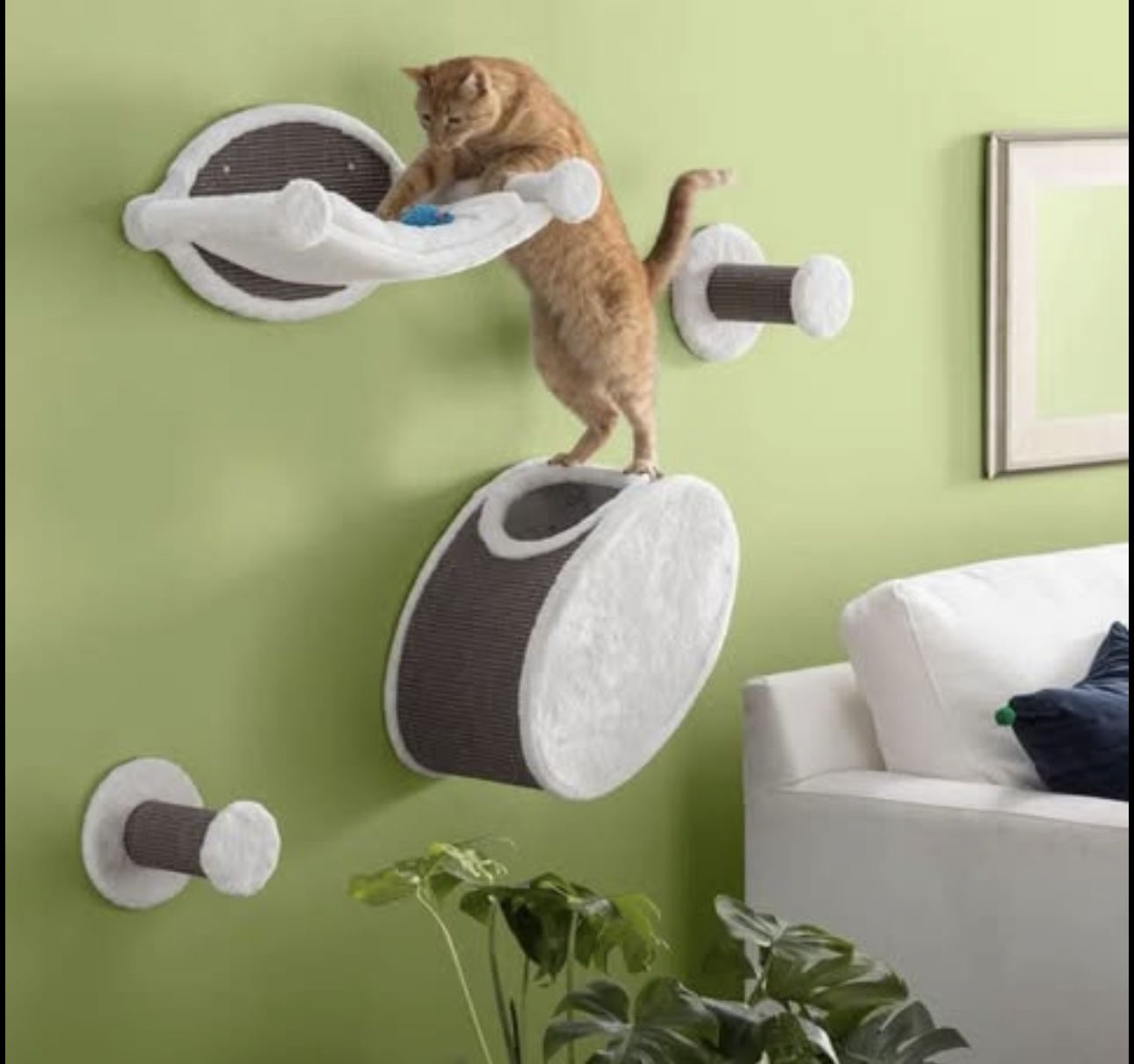 Wall Mount Cat Lounge Set Hammock and Condo