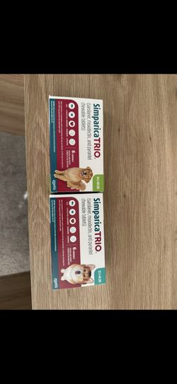 Dog Flea & Tick