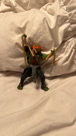 Ninja Turtle 