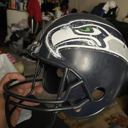 Seattle Seahawks Display Helmet ( 11 Inches Tall )