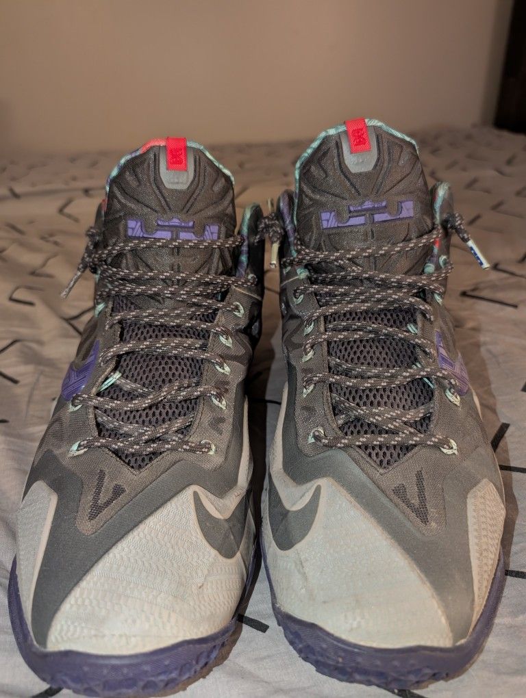 LeBron Xl Nike Shoes Size 13