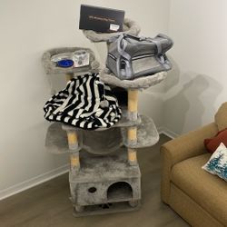 Gym  🐈‍⬛ Gato 🐈 