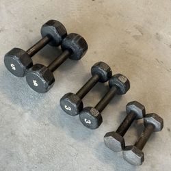 Weights And Dumbells For Home Gym Set of Six 3 Pairs