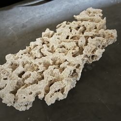 Marco Saltwater Rock
