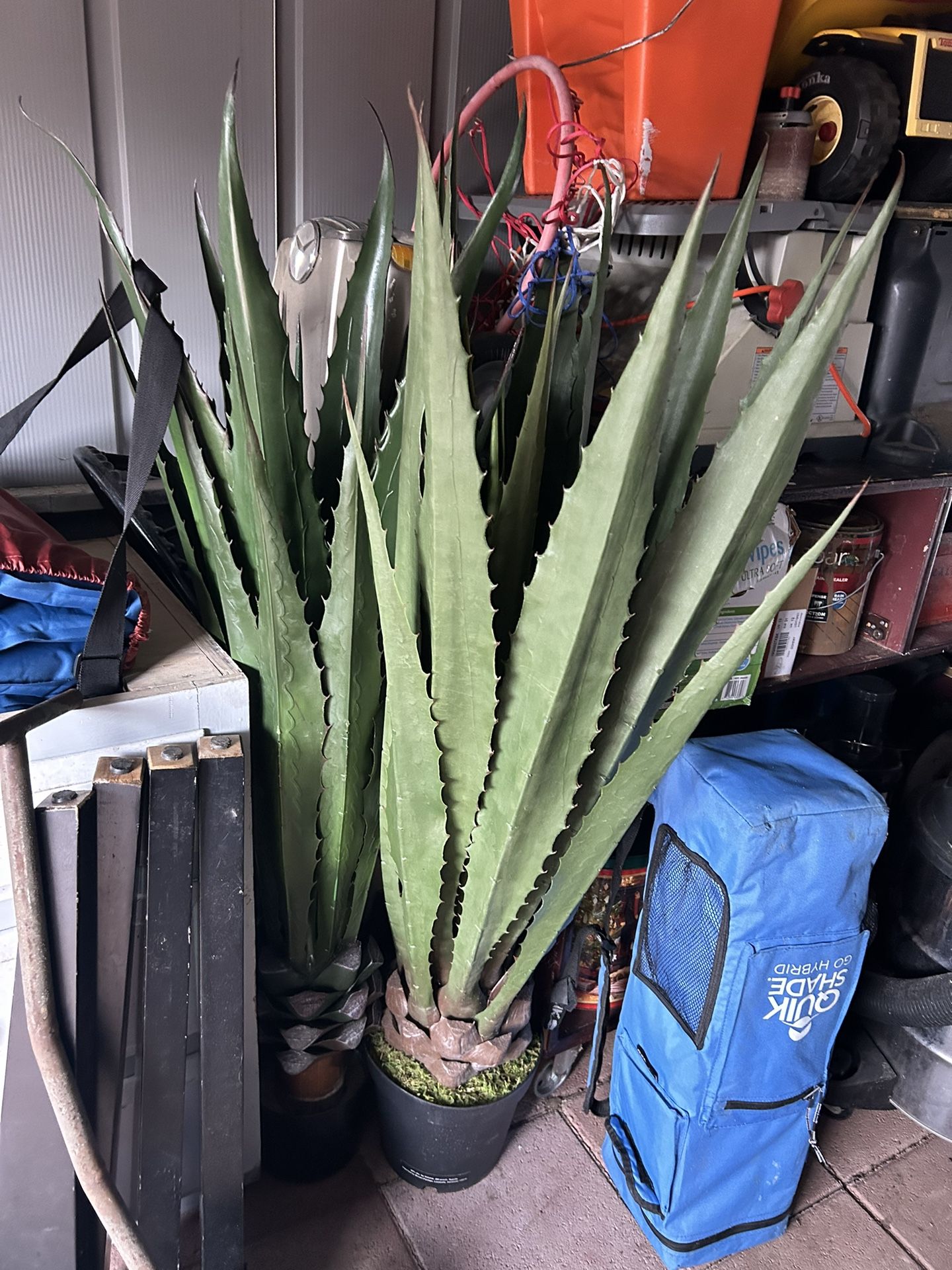 Fake Agave Plants $80 Both 
