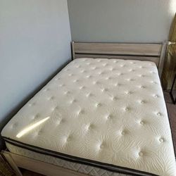 Sealy Queen Mattress