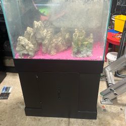 Fish Tank 