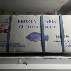 Whole Tilapia Scaled/gutted 550/750 40lbs