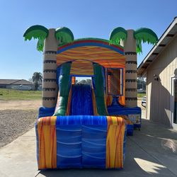 Bounce House Wet/dry Slide 
