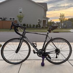 Focus Evo size L 