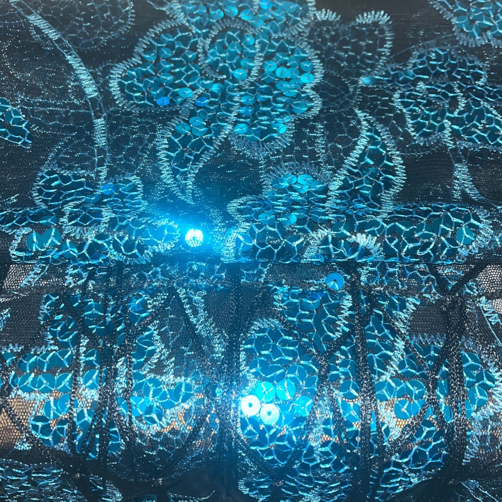 Blue Sequins Black Shawl
