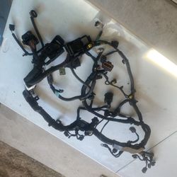 Harneers  Hiunday Sonata 2018