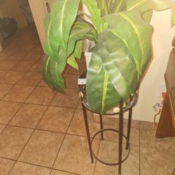 METAL FLOWER STAND WITH DOT AND PLANT. $50  FOR BOTH  FIRM PRICE 