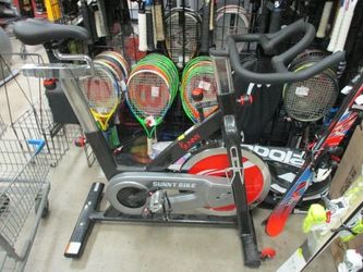 Used Sunny Fitness SPIN BIKE