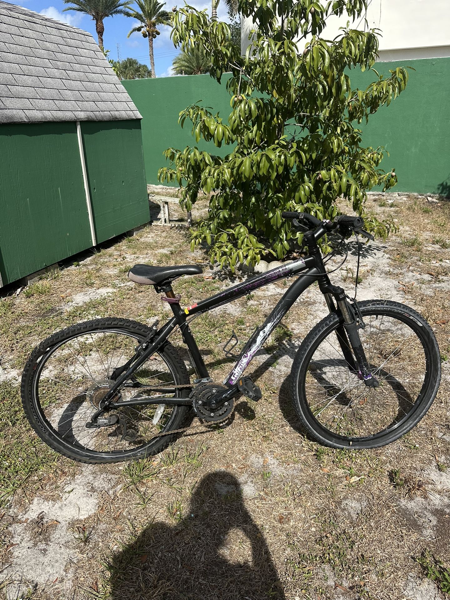 Bicycle