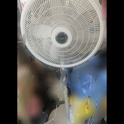 Lasko Fan 