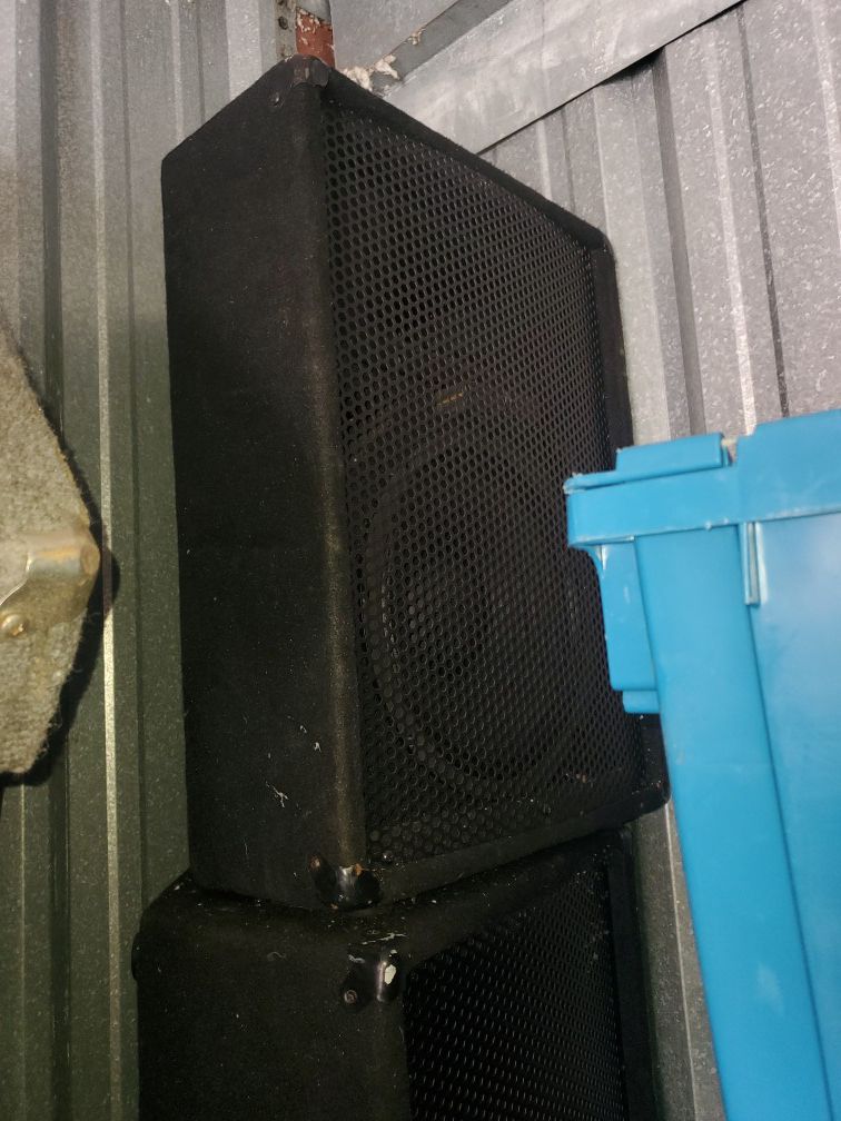 Custom built passive Speakers/Monitors