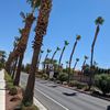 Vegas Made