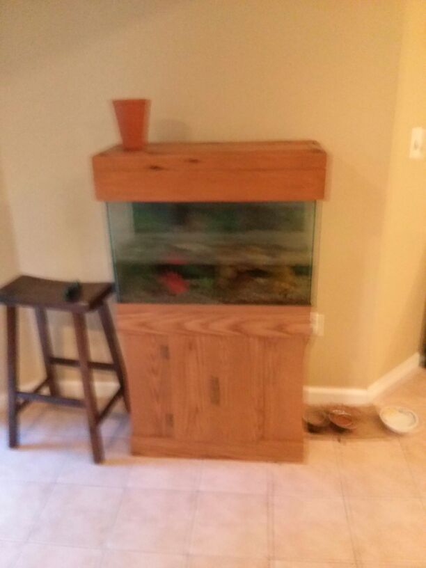 Fish tank about 30 gallons. No leaks. Includes everything you need except fish.