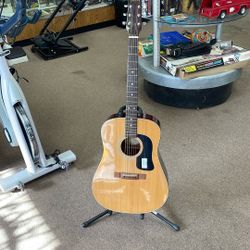 Washburn Guitar D10N