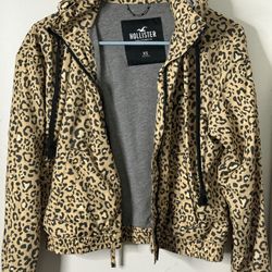 Hollister Jacket