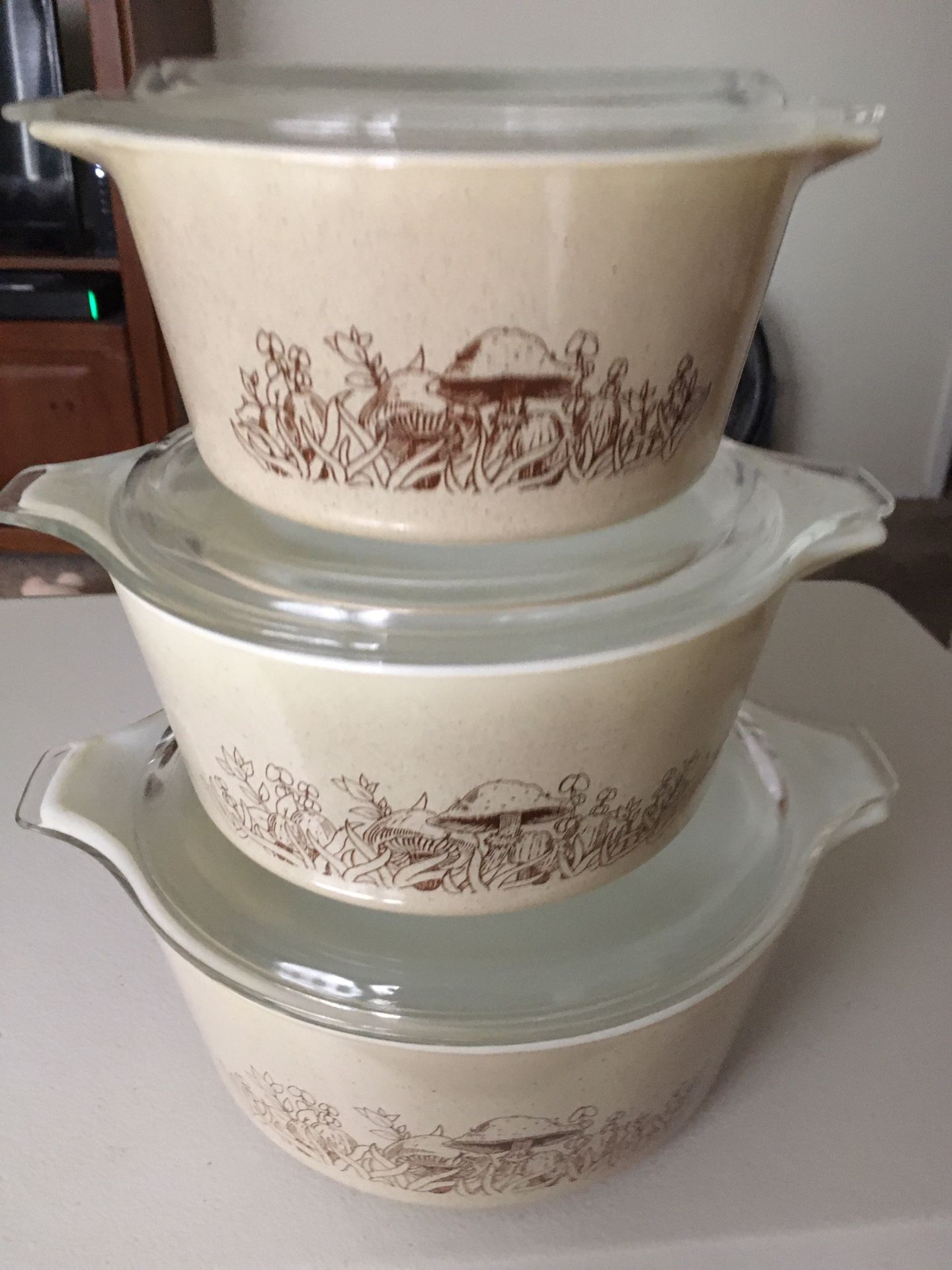 Vintage Pyrex Forest Mushroom Bakeware