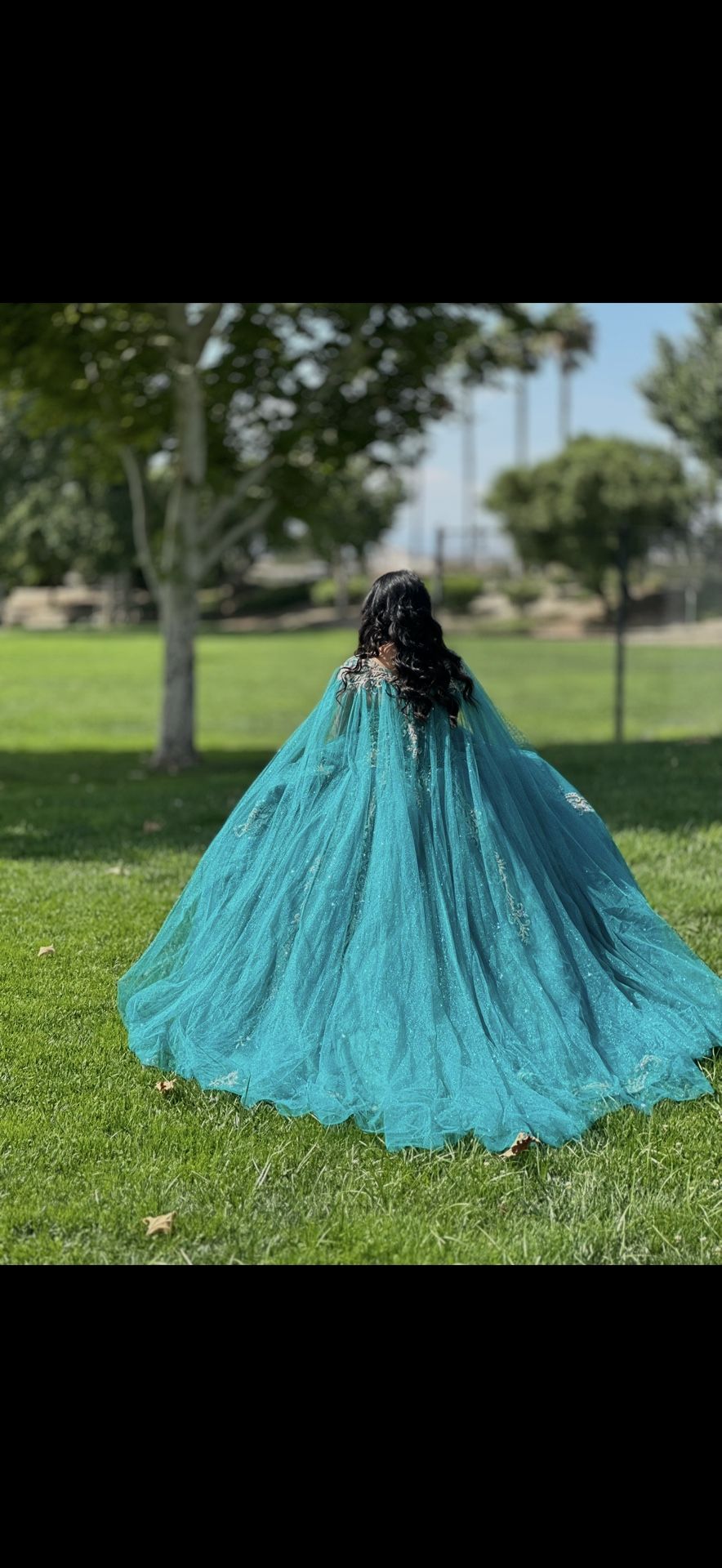 Quincianera Dress 
