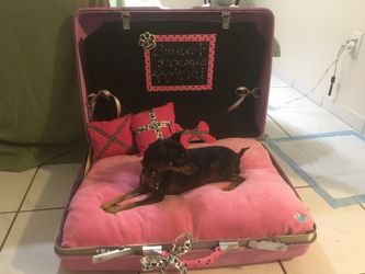Vintage suitcase doggie bed comes in blue or pink includes doggie n toys made to order w ur pets name and for cats as well 💓💓💓💓💓💓💓💓
