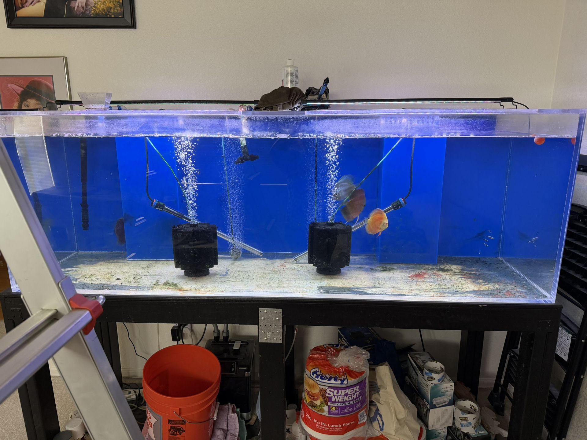 180 Gallon Acrylic Tank