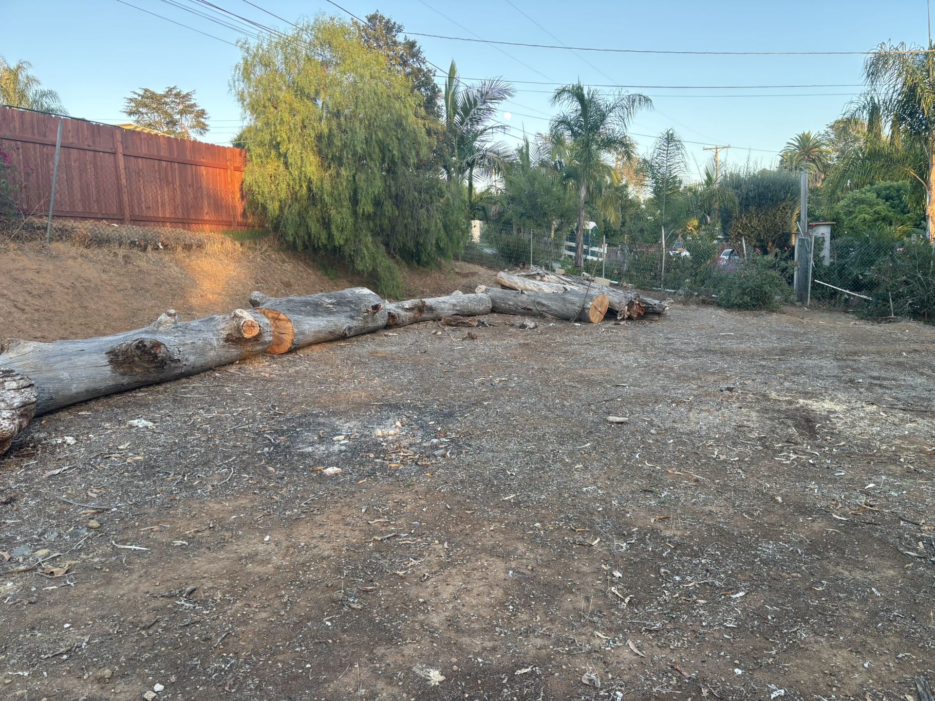 Free Firewood