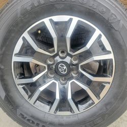 Tacoma wheels