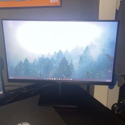 Acer gaming monitor 