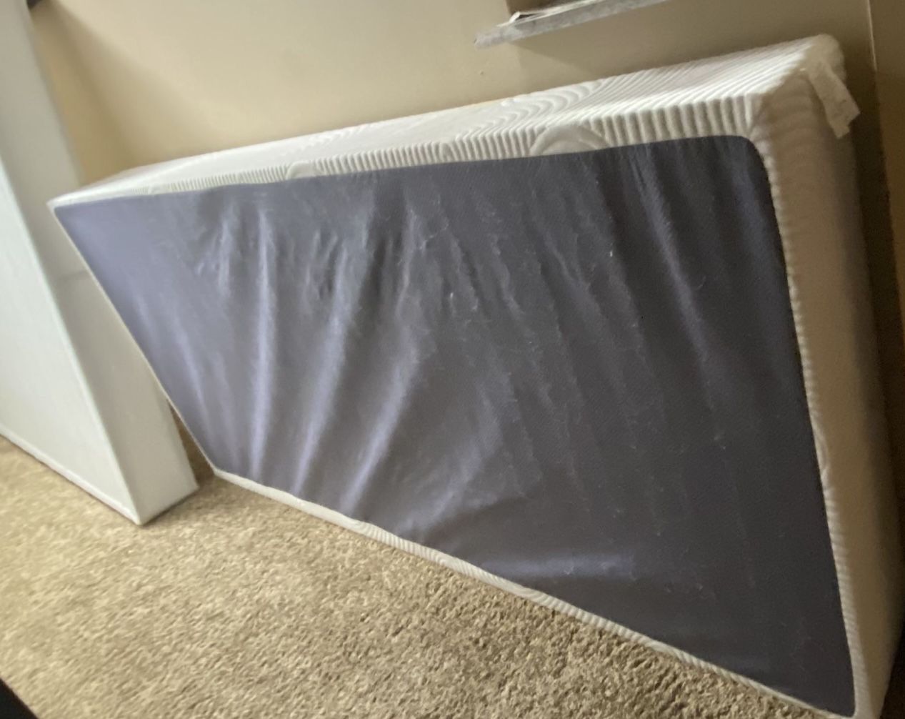 Twin Xl Box spring $20!