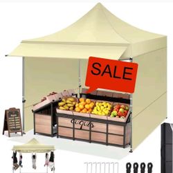 10x10 Pop Up Canopy Tent Heavy Duty with Sidewalls, Outdoor Commercial Canopy with Awning, Waterproof