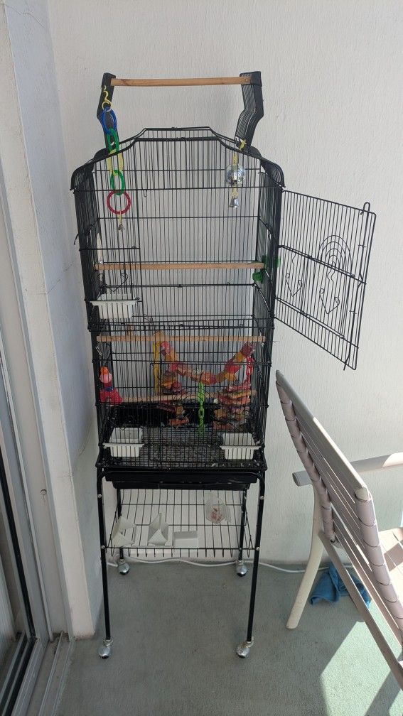 Free Bird Cage
