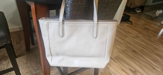 Blush Fossil Purse