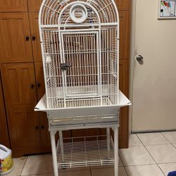 Birdcage Open Top